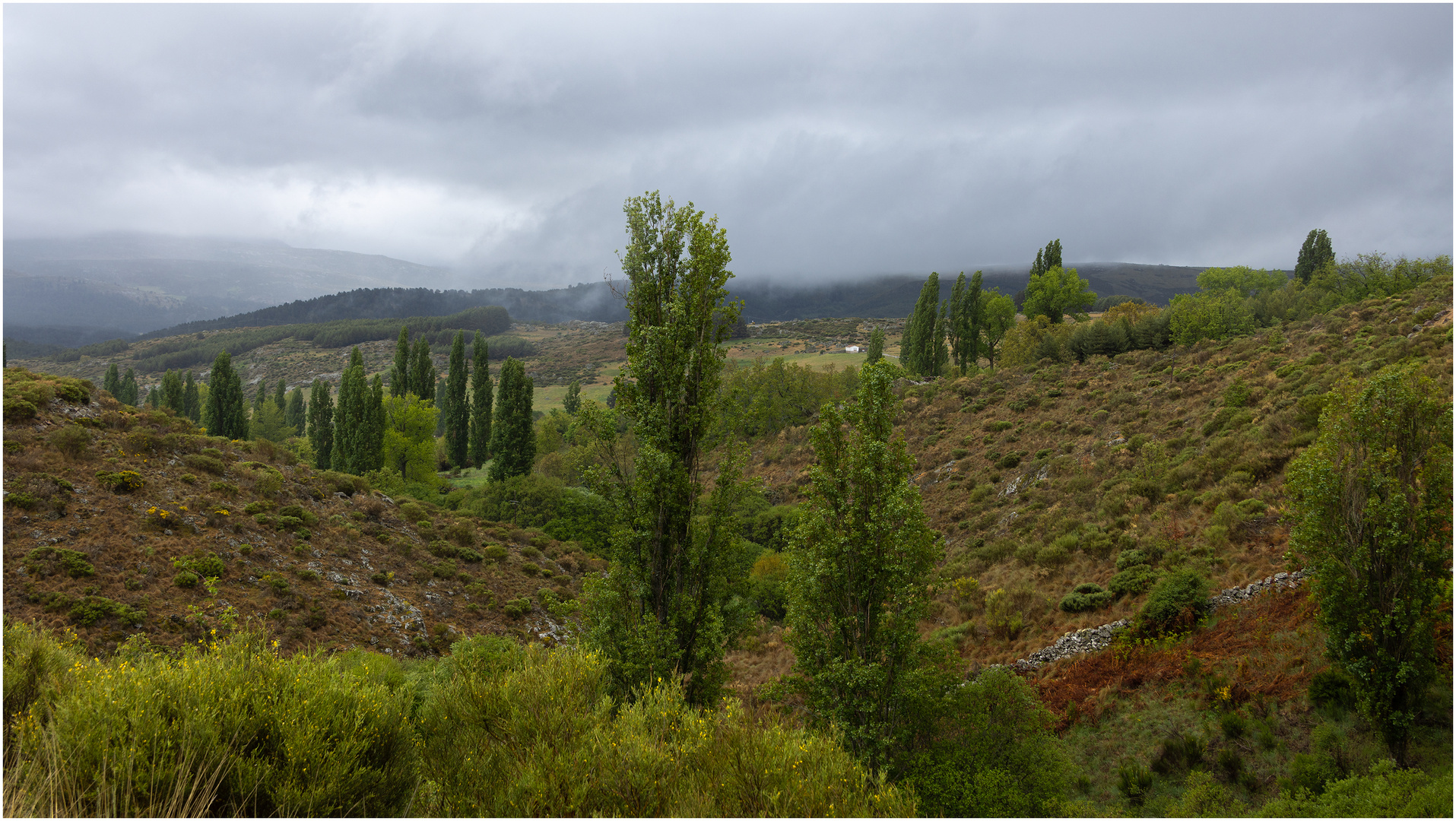 Lebensraum Sierra de Gredos