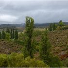 Lebensraum Sierra de Gredos