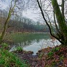 Lebensraum Sumpf, hier: Blick auf den Rosenweiher