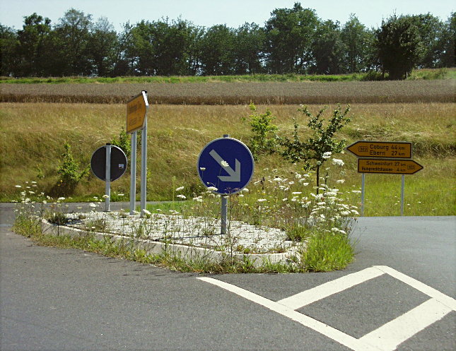 Lebensraum Verkehrsinsel ...