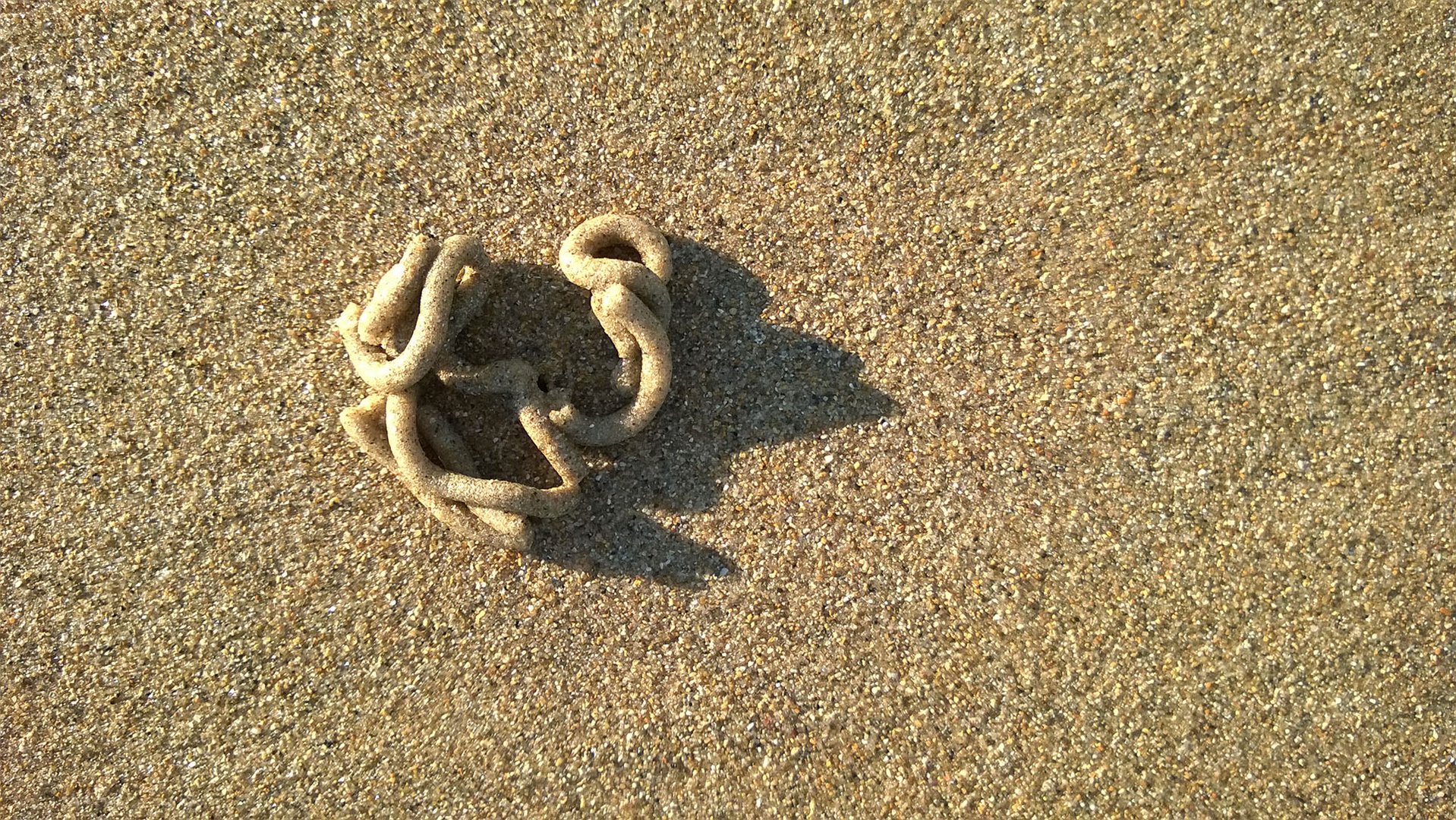 Lebensspur im Sand