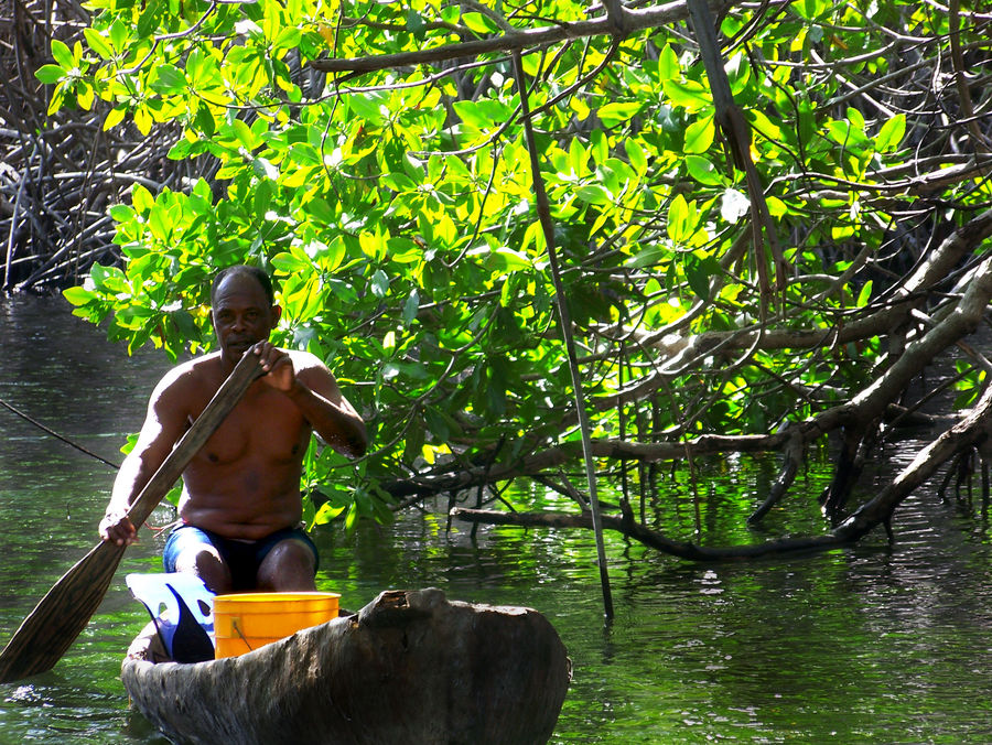 Lebensunterhalt auf Black Riva auf Jamaica