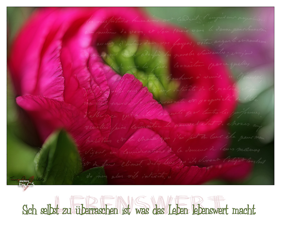 *** lebenswert ... ***