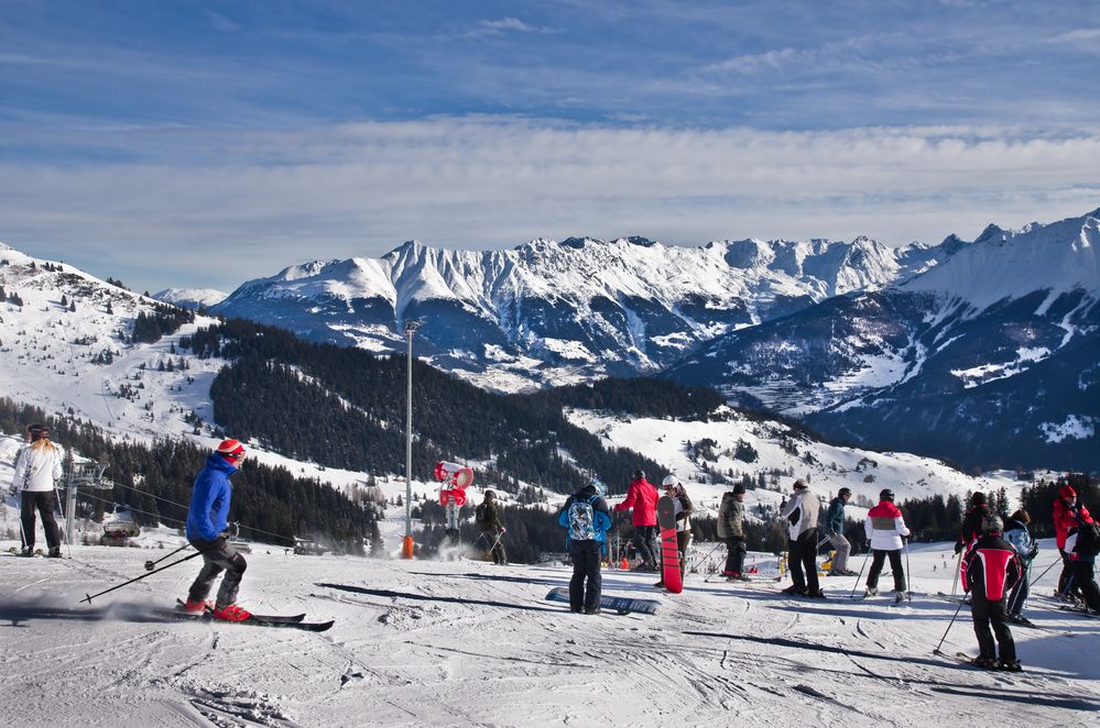 lebenszeichen aus dem winter