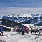 lebenszeichen aus dem winter