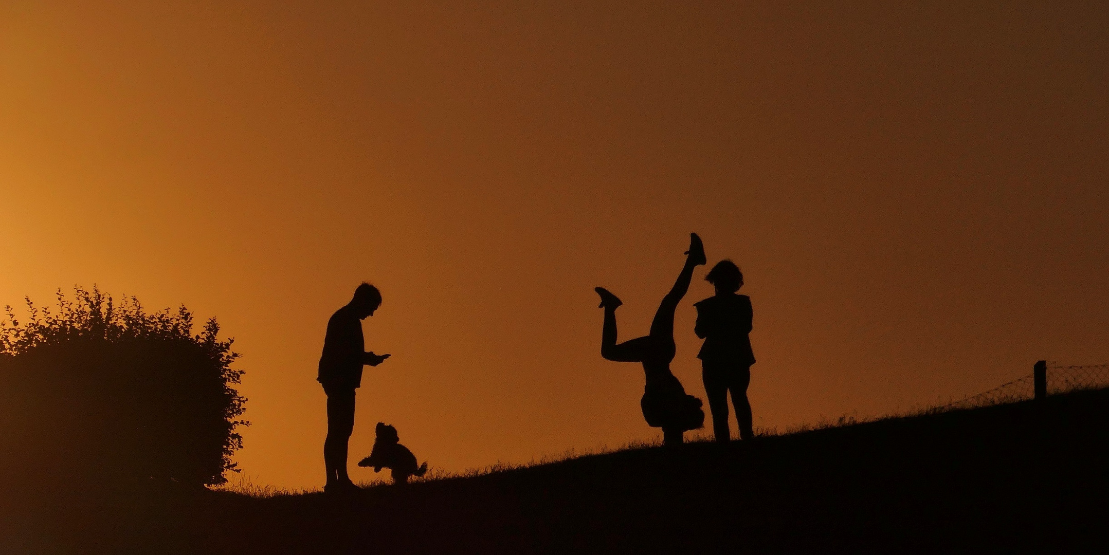 Lebhaftes Familientreiben vor dem Sonnenuntergang