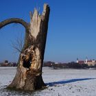 Lebt denn der alte Holzmichl noch (Teil1) ?