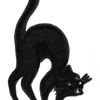 LeChatNoir