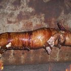 Lechon azado