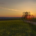 Lechstedt Sunset 3 (3D)