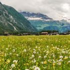 Lechtal view: Holzgau