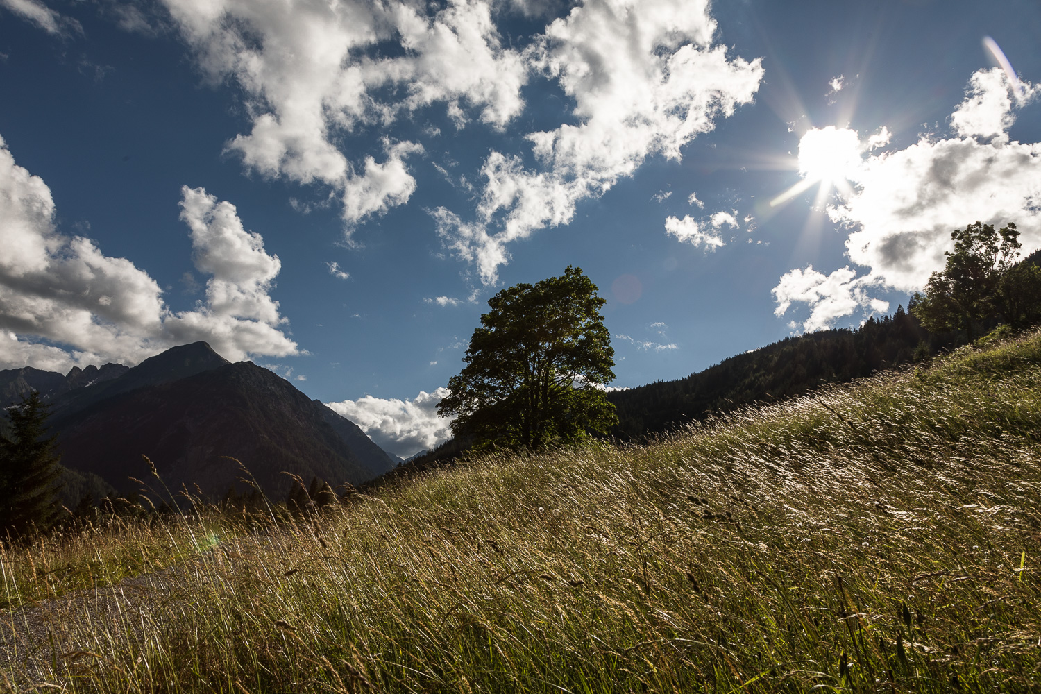 Lechtaler Alpen am Abend