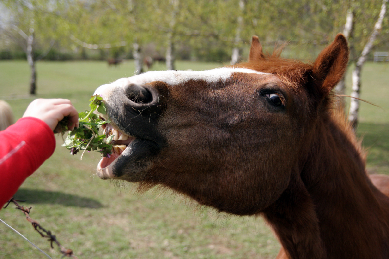 ... lecker