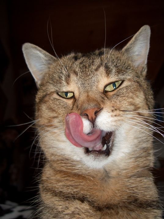 Lecker...
