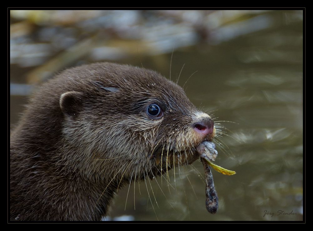 Lecker!