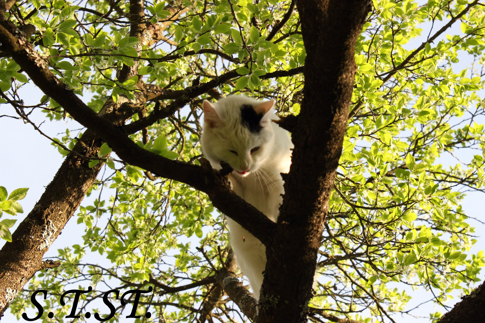 Lecker Baum.