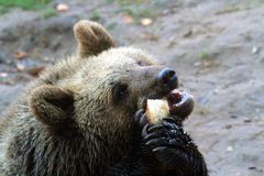  Lecker Brötchen