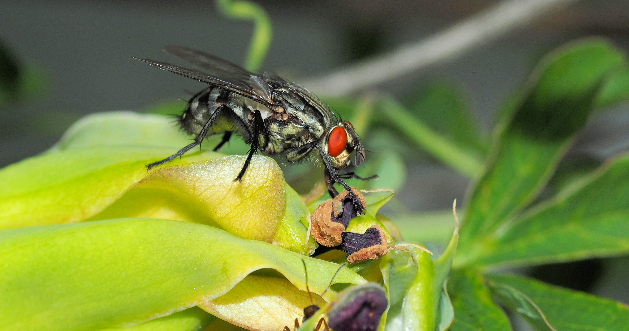 Lecker….