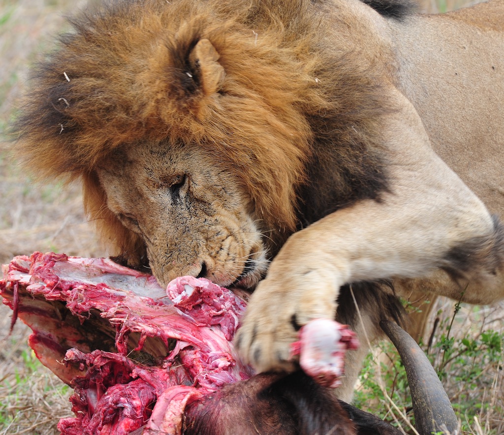 Lecker Dinner