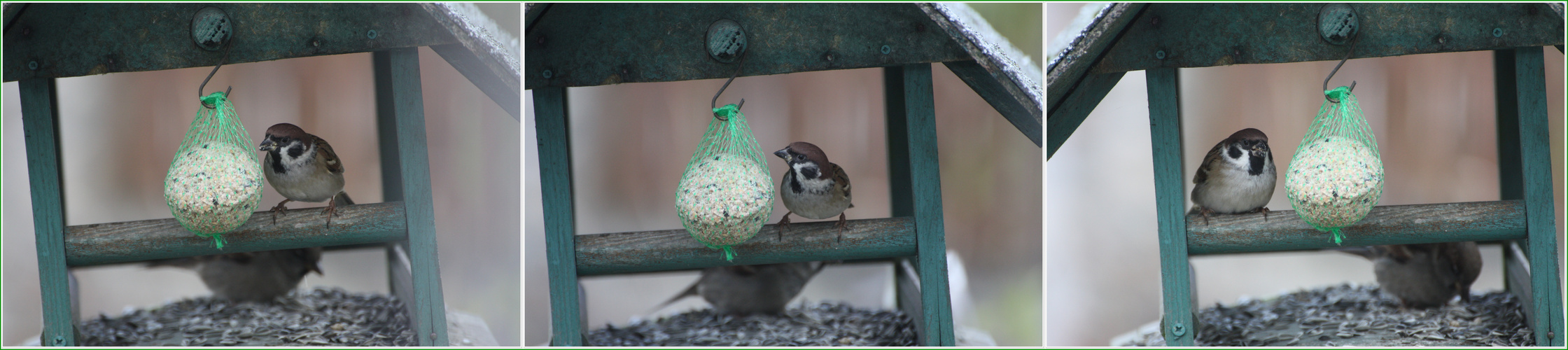 Lecker Futter