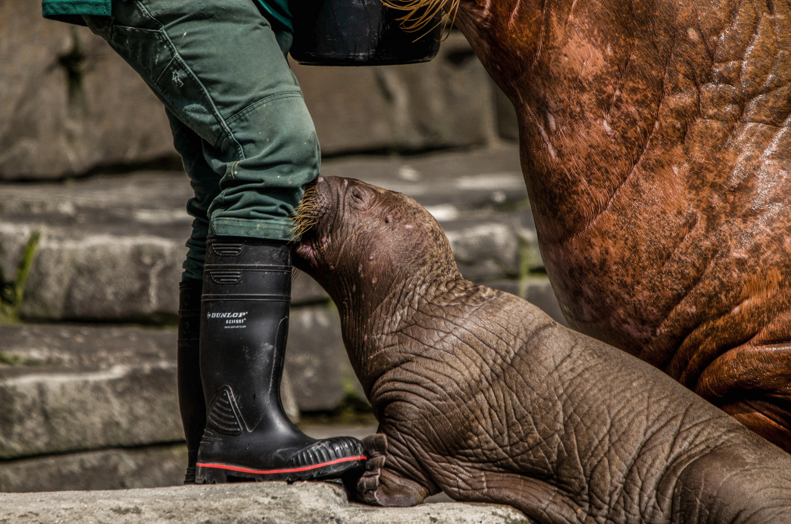 lecker .. Gummistiefel 