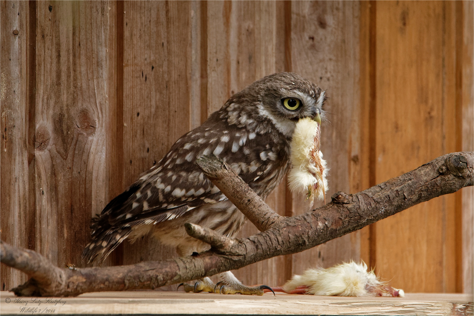 ... lecker Häppchen 