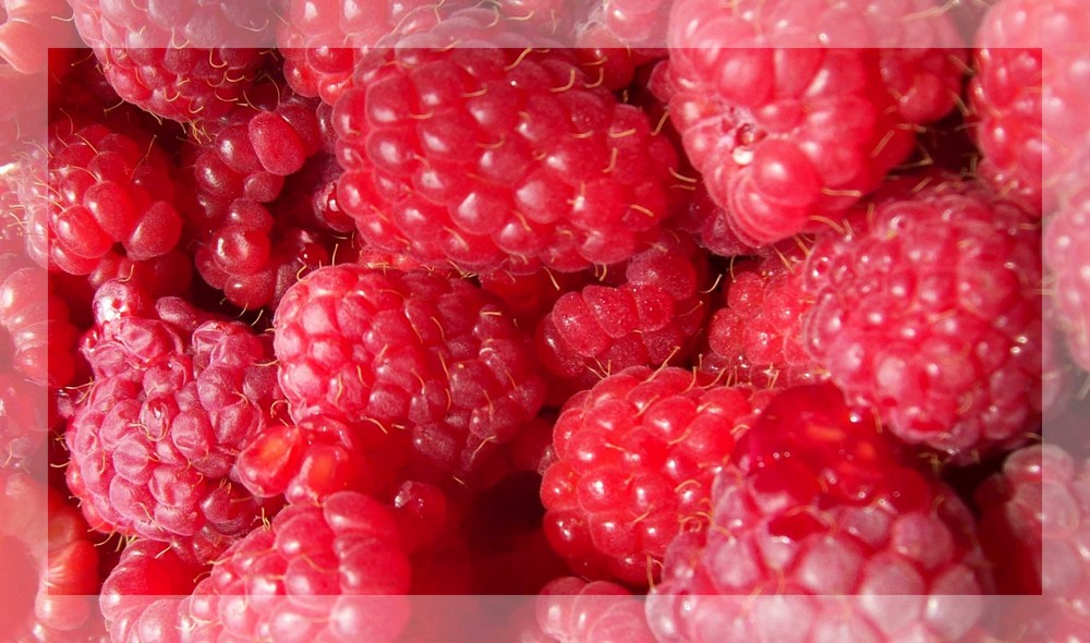 Lecker Himbeeren