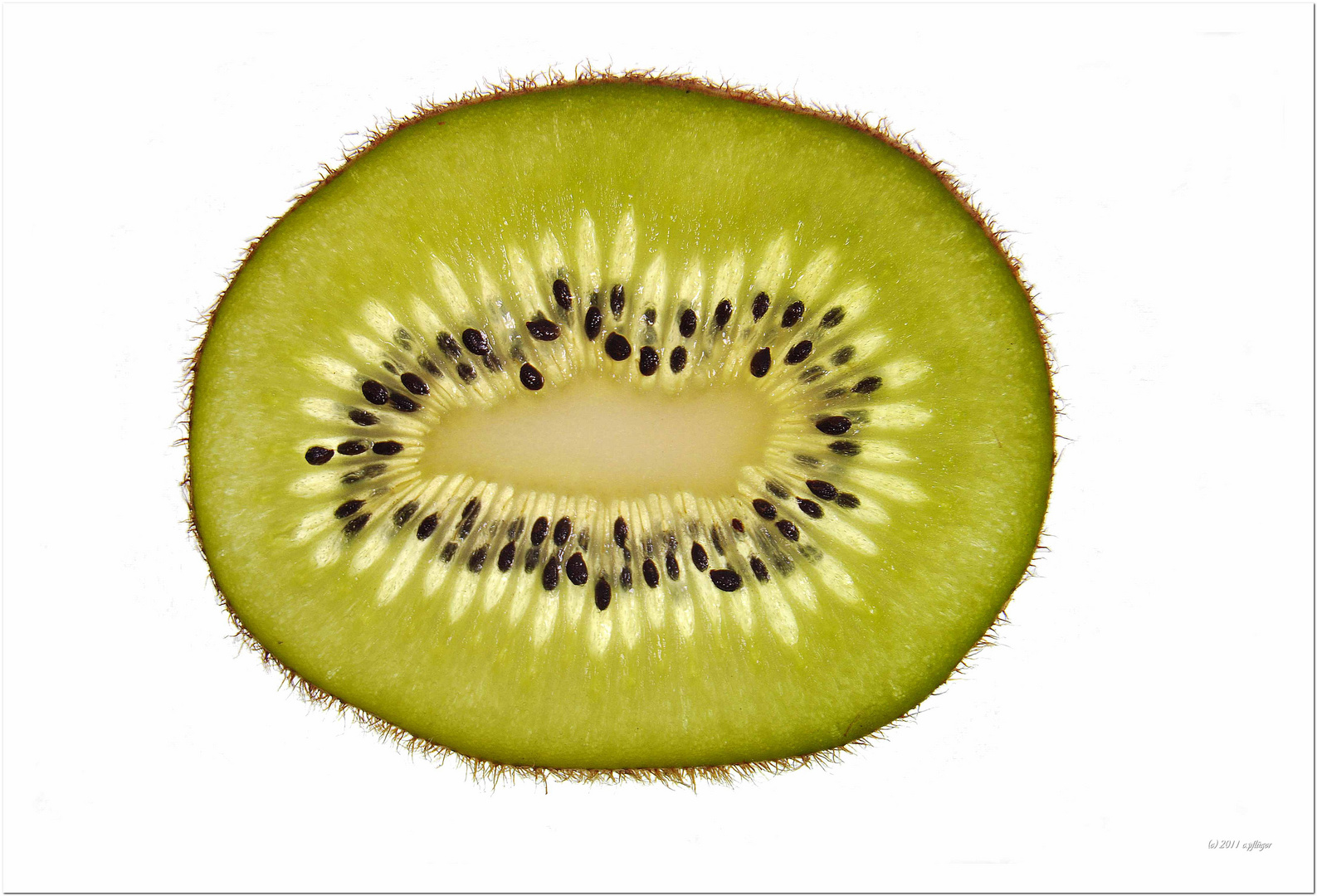 lecker Kiwi