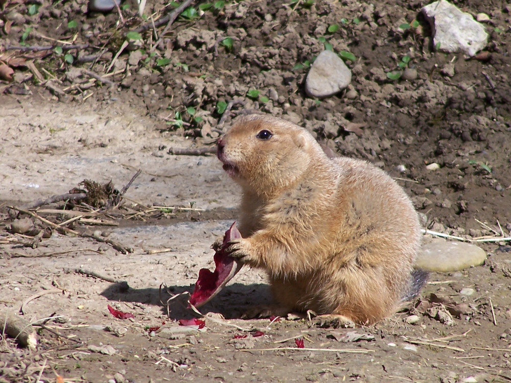 Lecker, lecker!