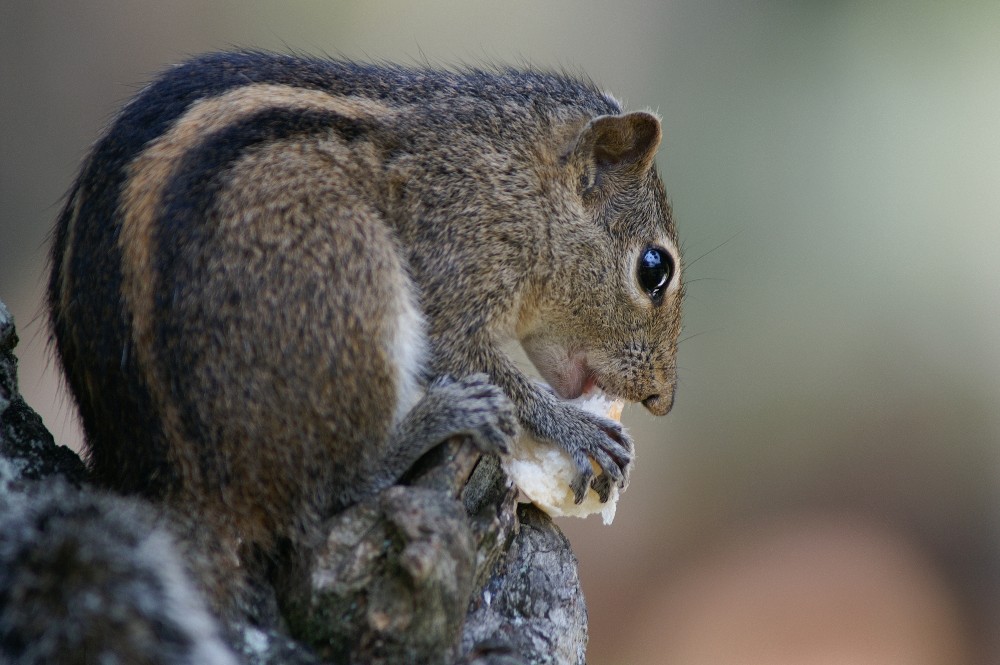 lecker, lecker...