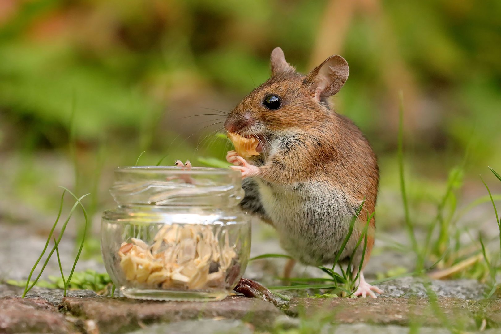 Lecker lecker....alles meins ;O)