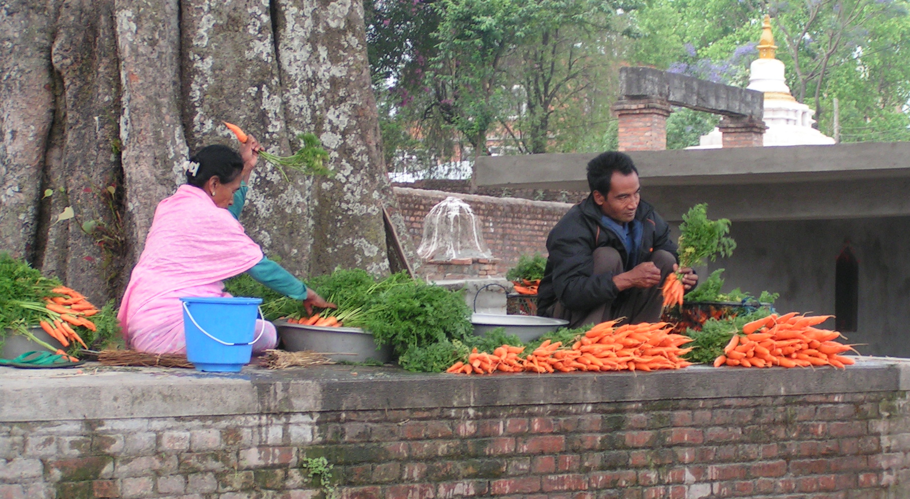 Lecker Möhrchen Straßenverkauf in Kathmandu