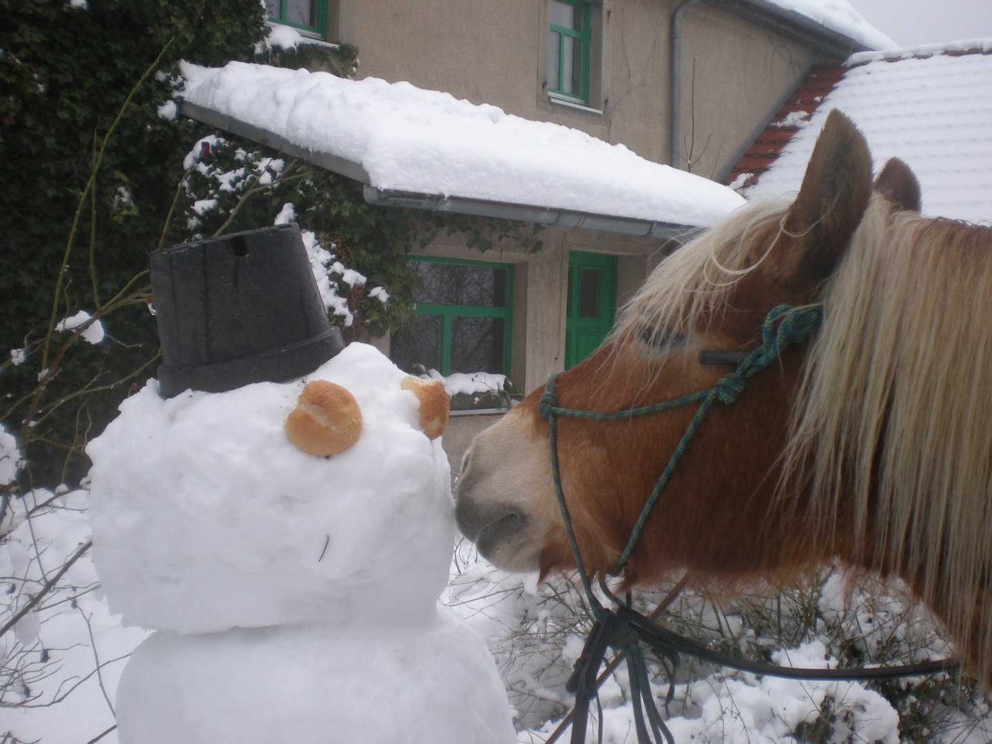 Lecker Sachen am Wegesrand