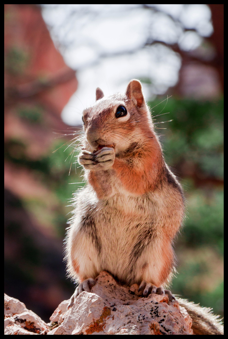 Lecker schmecker