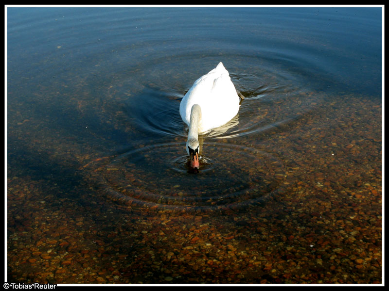 Lecker Wasser