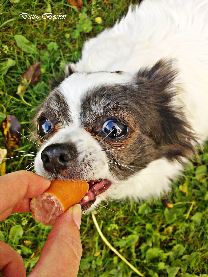 Lecker Wurst =D