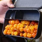 leckere Cloudberries auf dem Weg zur EInsiedlerkirche bei Inari