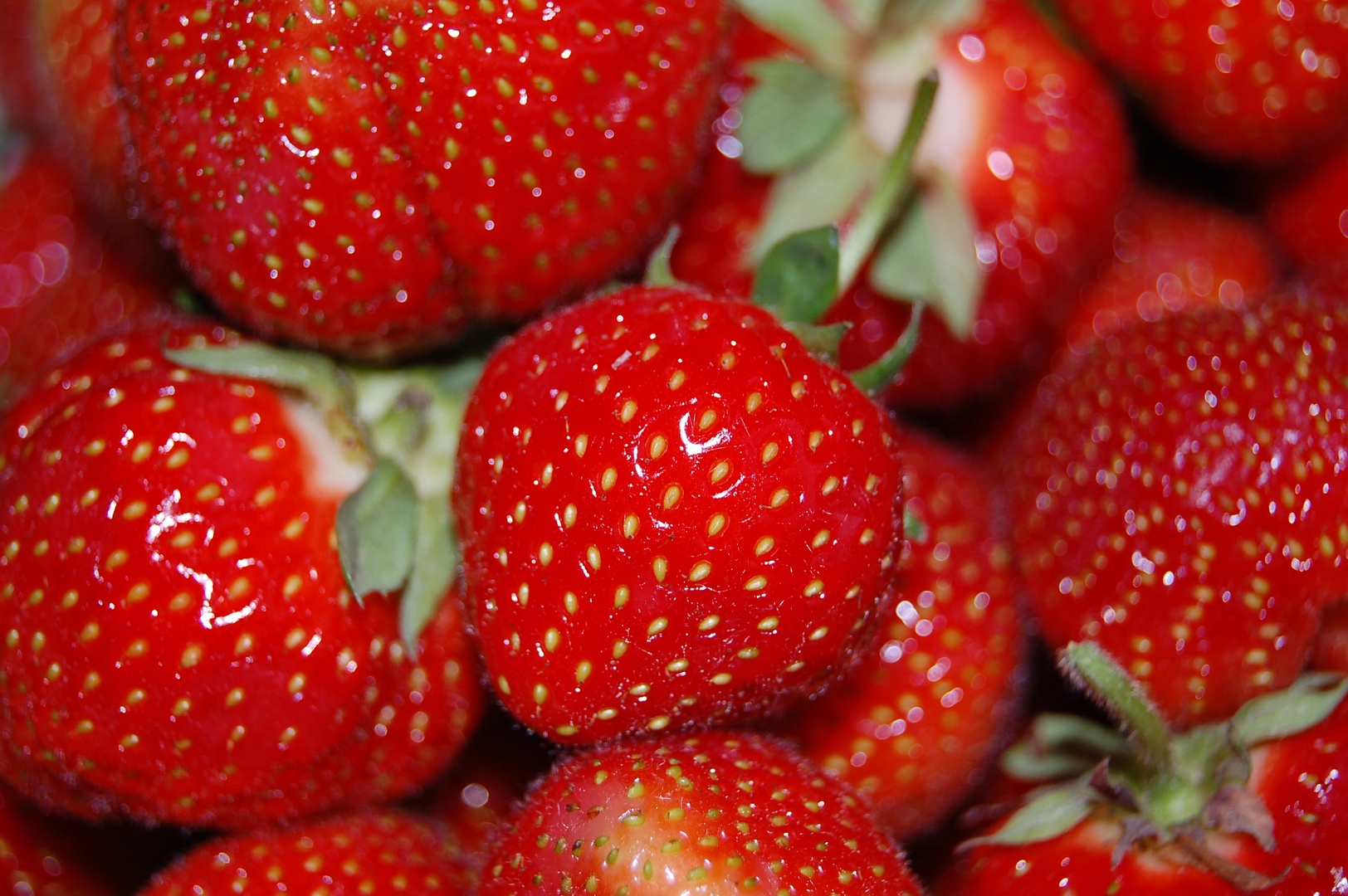 Leckere Erdbeeren Foto &amp; Bild | pflanzen, pilze &amp; flechten, früchte und ...