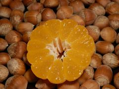 Leckere Früchtchen - Mandarinen und Haselnüsse