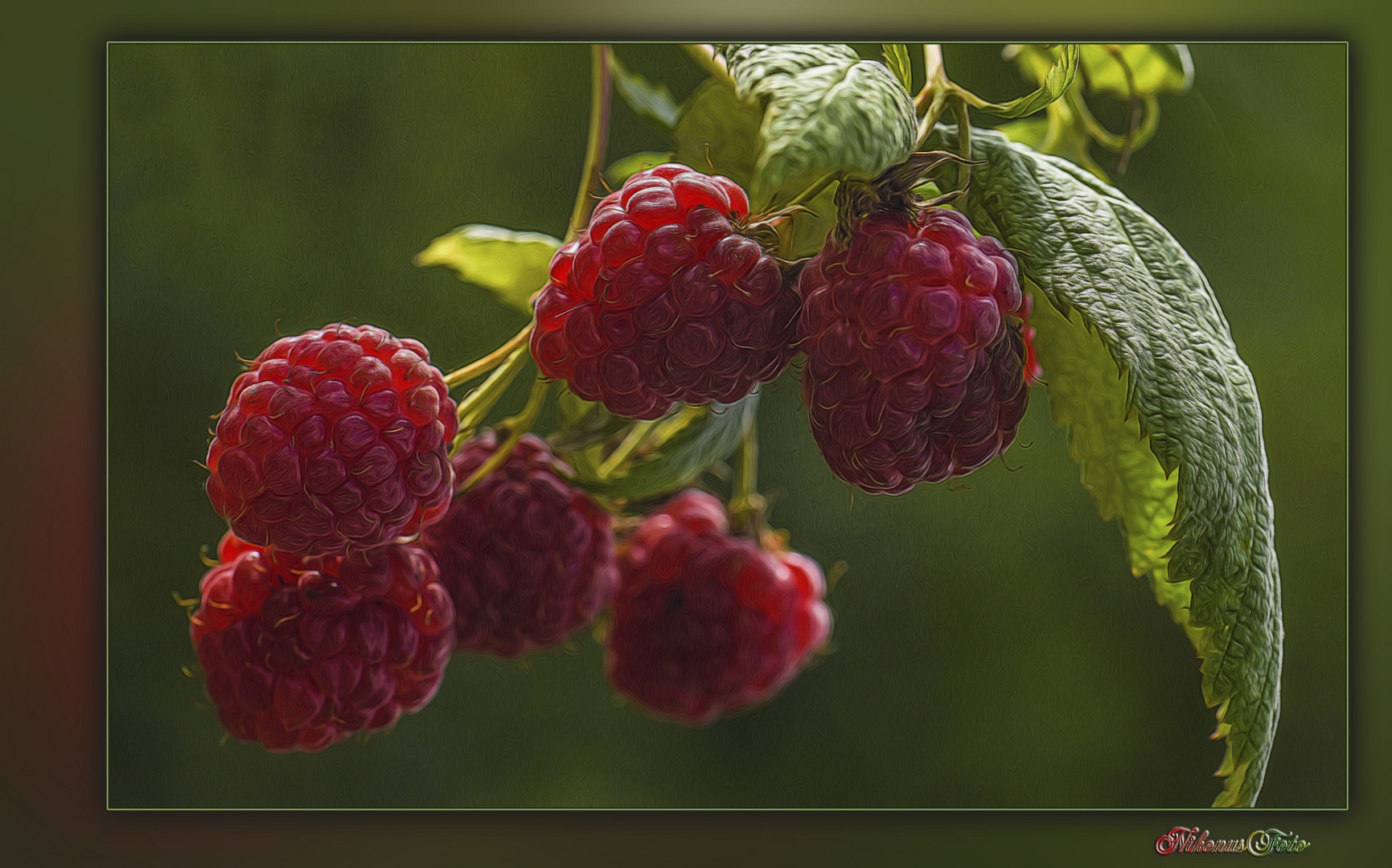 leckere Himbeeren