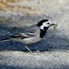 Leckere Mahlzeit