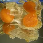 leckere Physalis.......