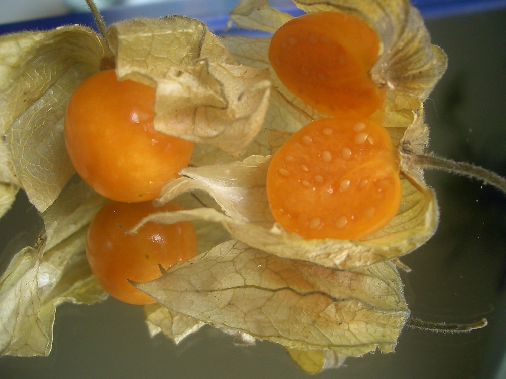 leckere Physalis.......