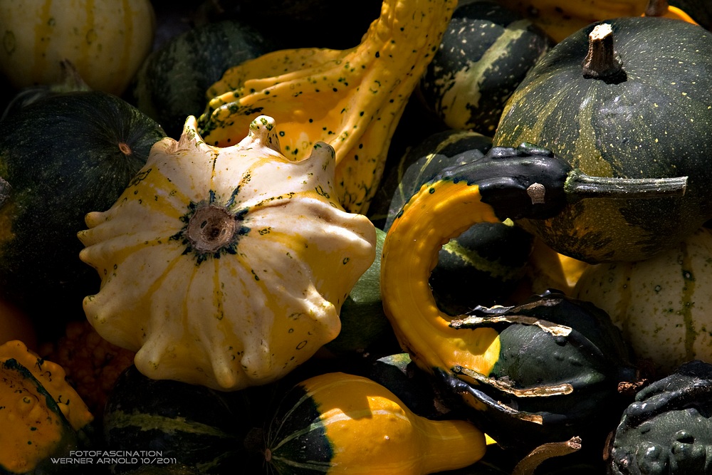 Leckerer Herbst  in gelb und grün ....