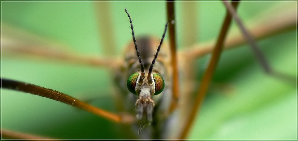 Lecker...lecker...lecker - Reloaded -