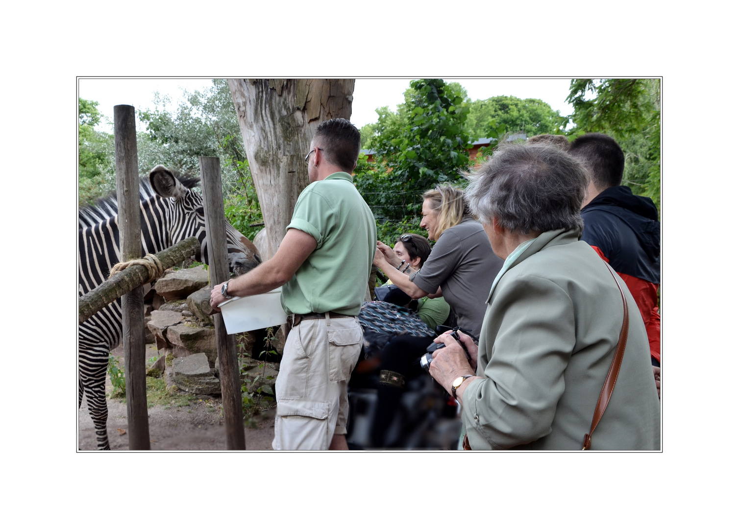 Leckerli für die Zebras