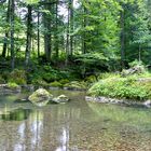 Leckner Ache nahe Hittisau