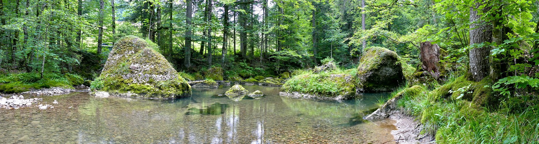 Leckner Ache nahe Hittisau