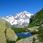 Lecksteine, mit dem Ruchen, Maderanertal