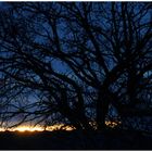 " L'éclipse de ce matin "FLOP 1 "